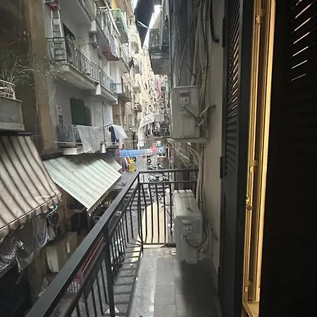 Qs 10 * نابولي
